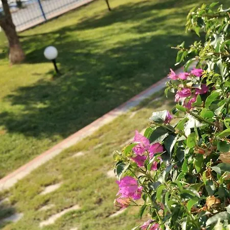 Aiolis * נמל קופוניסיה